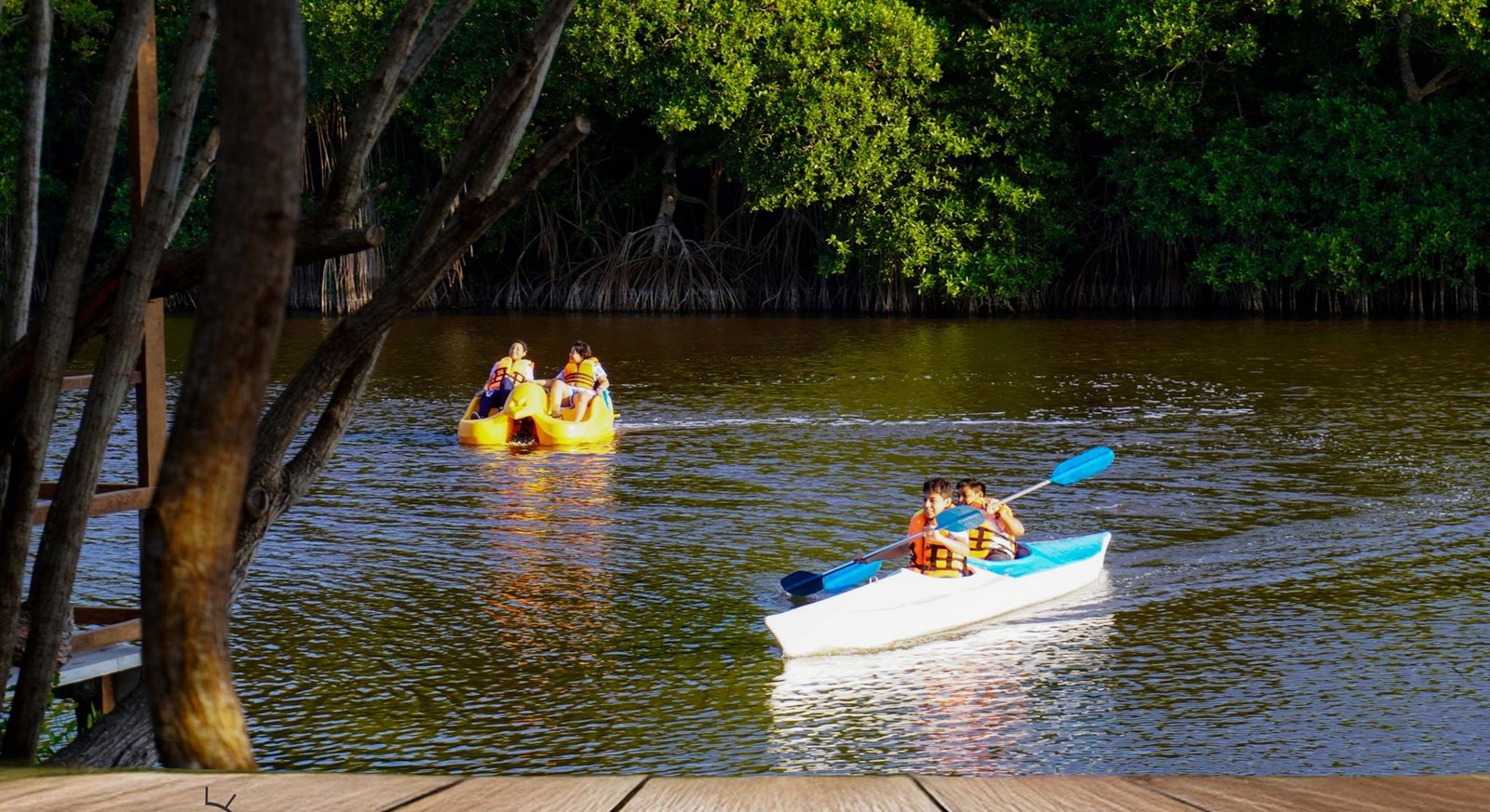 Paseo en lancha 2