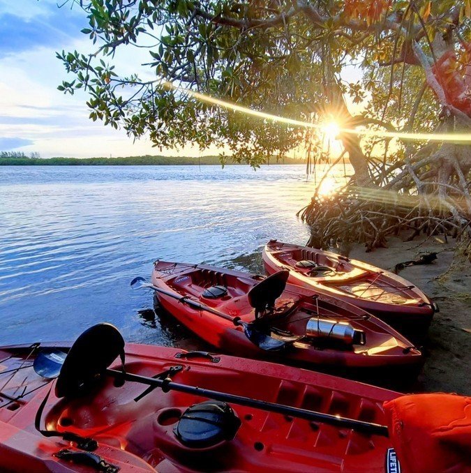 Kayak