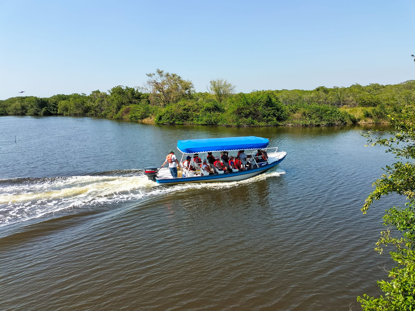 Paseo en lancha